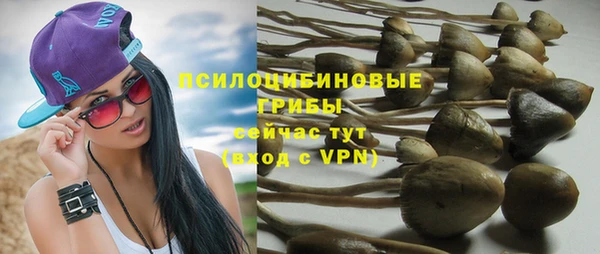 каннабис Инта