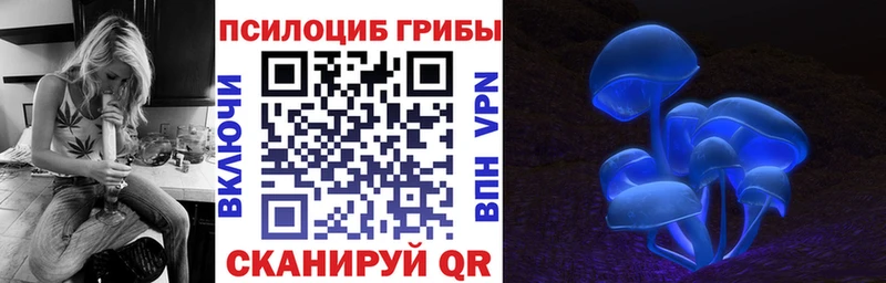 Псилоцибиновые грибы ЛСД Бородино